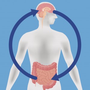 brain-gut-connection