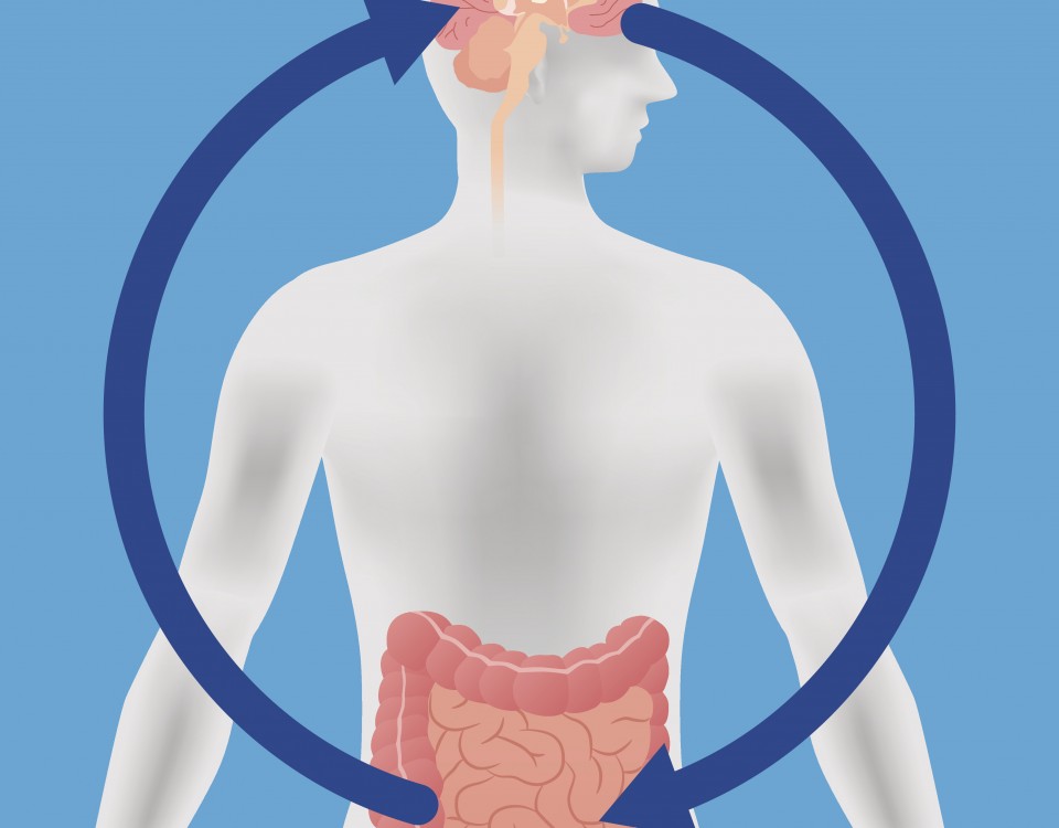 brain-gut-connection